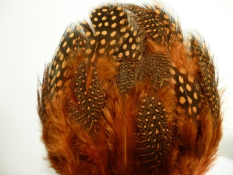 Guinea Fowl ( Body feathers ) Orange 2 Gramm